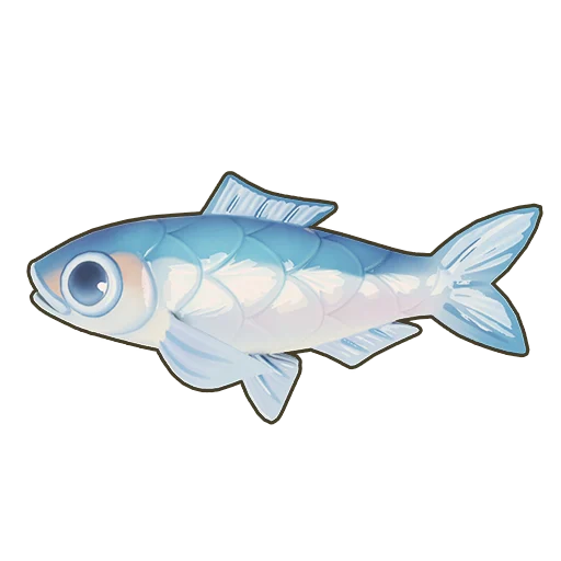 Anchovy