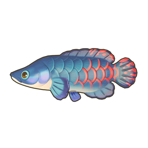 Arapaima
