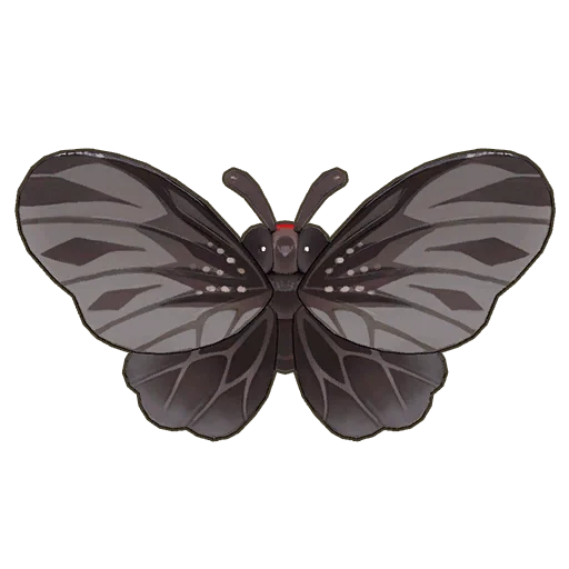Aurora Swallowtail