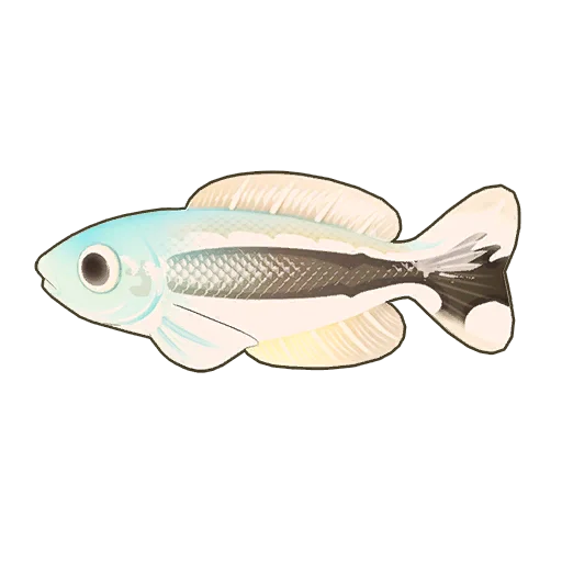 Blue Blanquillo