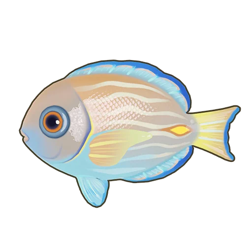 Blue Tang