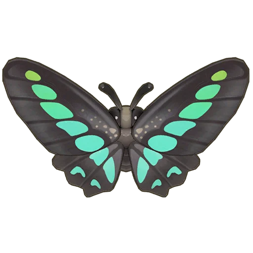 Common Bluebottle