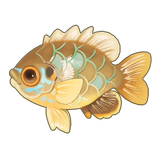 Bluegill