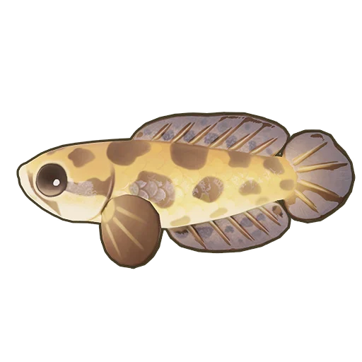 Obscure Snakehead