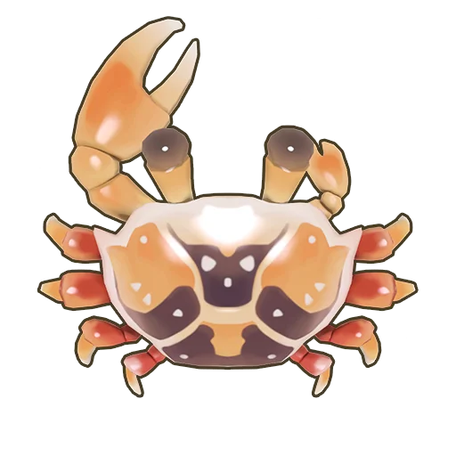 Fiddler Crab