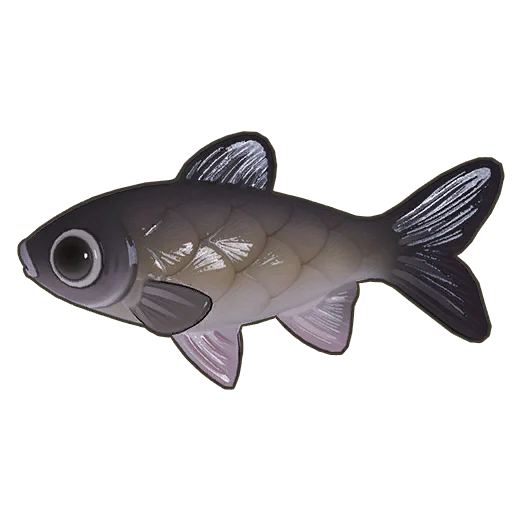 Grass Carp