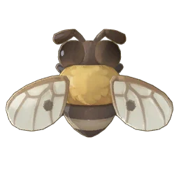 Honey Bee