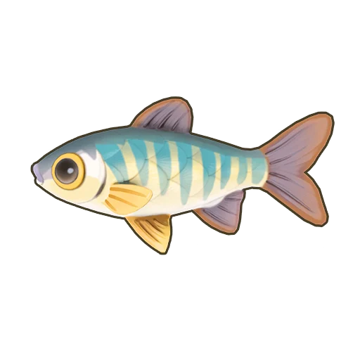 Hooksnout Carp