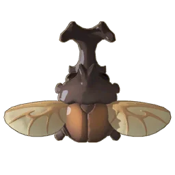 Kabuto Beetle