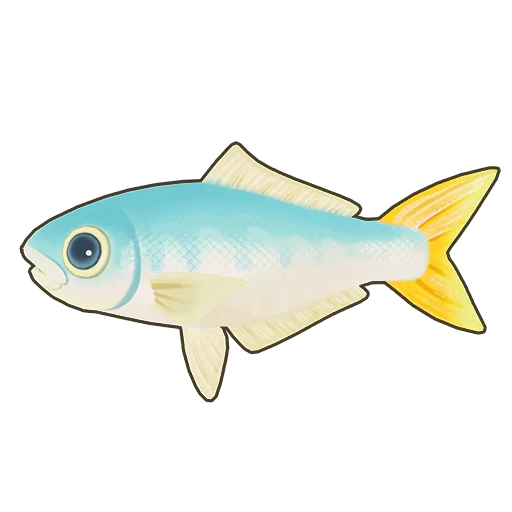 Leatherjacket Fish