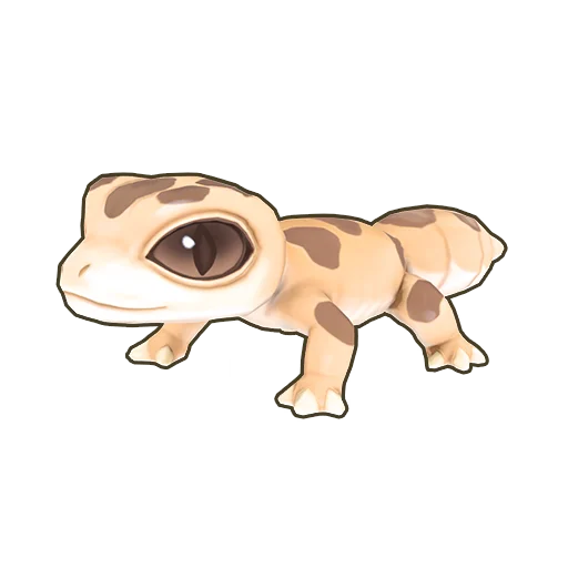 Leopard Gecko