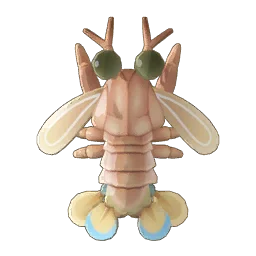 Mantis Shrimp