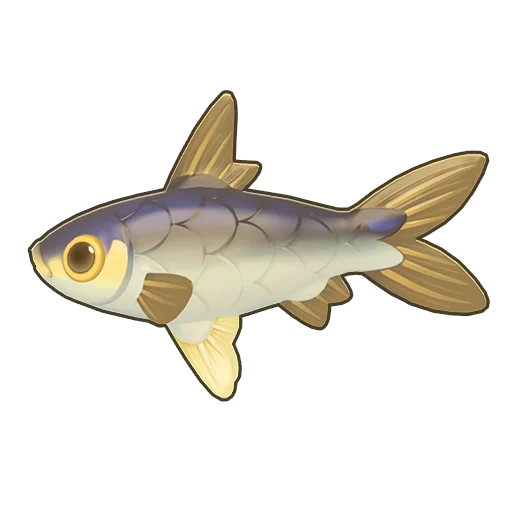 Milkfish