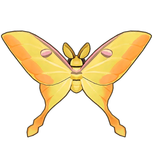 Moon Moth