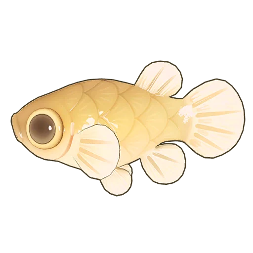 Mosquitofish