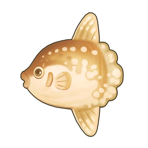 Ocean Sunfish