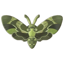 Oleander Hawk Moth