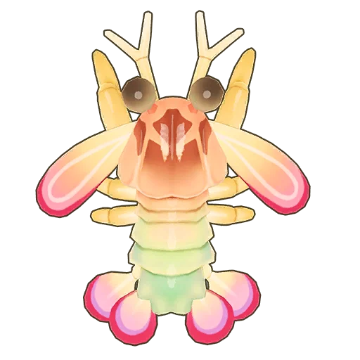 Rainbow Mantis Shrimp