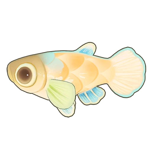 Rice Fish