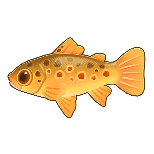 River Trout