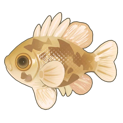 Shadow Bass