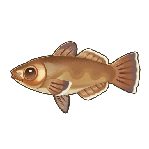 Smallscale Toothfish