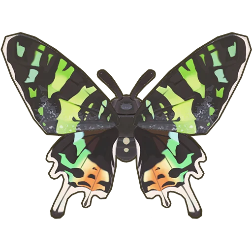 Sunset Moth