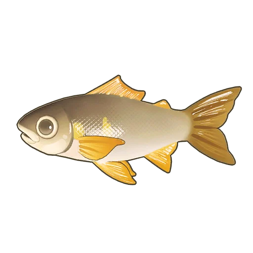 Sweetfish
