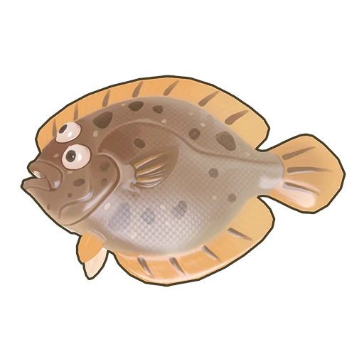 Turbot